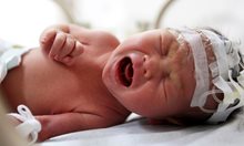 Не достигат кувьозите за недоносени бебета в България