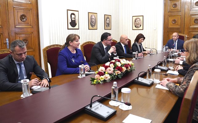 Със силен експертен екип, начело с шефката на групата Десислава Атанасова, отиде ГЕРБ при президента.