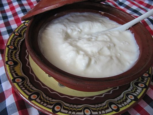 Българското кисело мляко има силно открояващ се вкус и аромат. СНИМКА: Wikimedia Commons