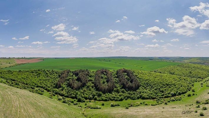 СЛЕД ПОЖАР: Възраждат гора "1300 години България"