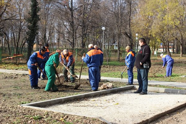 В залесителната акция участваха работници от "Градини и паркове"