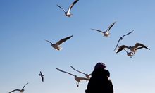 Жена храни птици в Одеса
