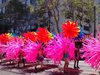 В събота ще се проведе гей парад в Белград