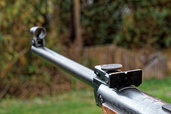 39-годишният мъж е убил петимата си съседи с пушка СНИМКА: Pixabay