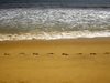 106 плажа неохраняеми засега, областните управители ще осигуряват спасители