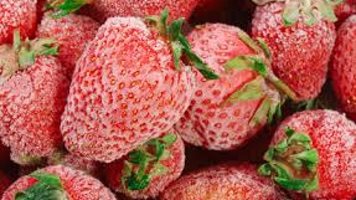 Износът на замразени ягоди от Египет за ЕС достига рекордни стойности през януари-юли 2023 г.
