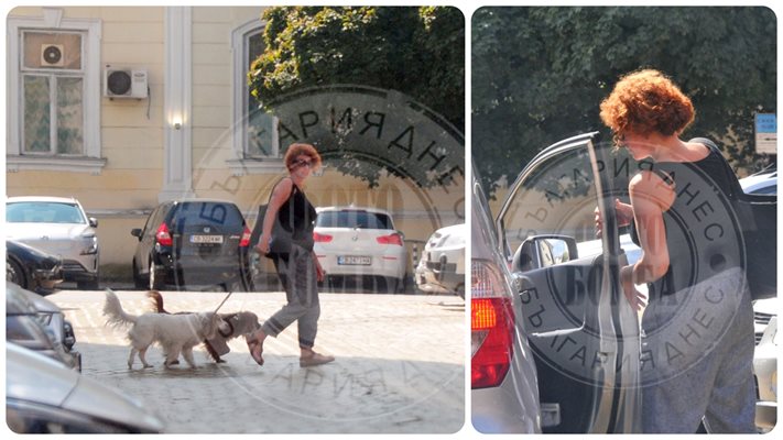 (ПАПАРАЦИ Я ХВАНАХА) Актрисата от "Столичани в повече" Ева Тепавичарова вози кучета с кола