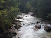 Две млади жени се загубиха в района на река Бистрица, спасиха ги