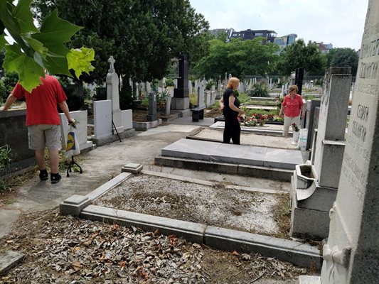 Още в петък някои пловдивчани почистиха гробовете за Черешова задушница, тъй като днес се очакват големи струпвания в траурните паркове.