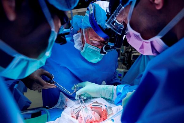 Лекарите присаждат свинския бъбрек на пациентката. Снимката е разпространена от болница “Лангони” в Ню Йорк.
