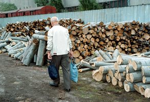 Върнаха на 10 кубика евтините дърва от държавни или общински гори