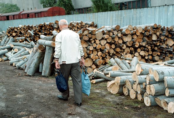 Заявленията за дърва ще може да се подават и след края на август.