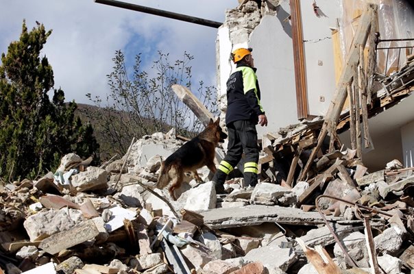 Спасител с куче разглежда руините на къща в Борго Санантонио.