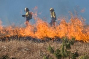 Горяха сухи треви край язовир Огоста до Монтана