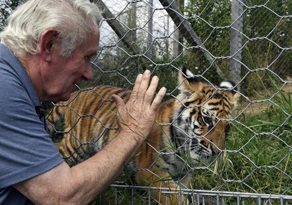 В частния зоопарк край Лион живеят над 1000 животни, включително тигри и лъвове. СНИМКА: АРХИВ