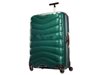 Куфар за багаж изглежда и се държи като котка