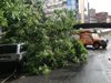 Лятна буря в Кърджали чупи дървета, две коли смачкани (Снимки)