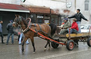 Ромите 4,4% от българското население, турците 8,4%