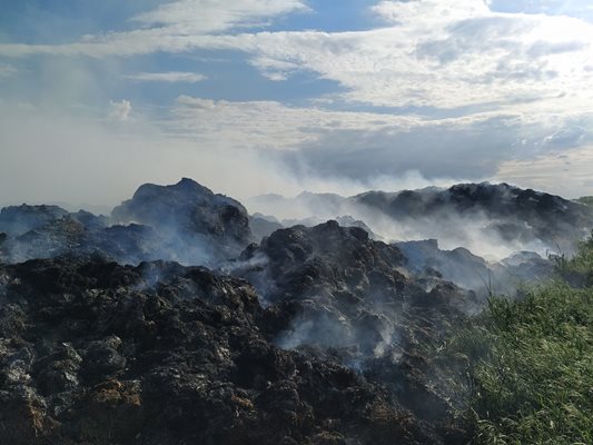 Могили с оборски тор са се запалили край село Маноле и пушекът се носи чак до магистралата. Снимки и видео: Авторът