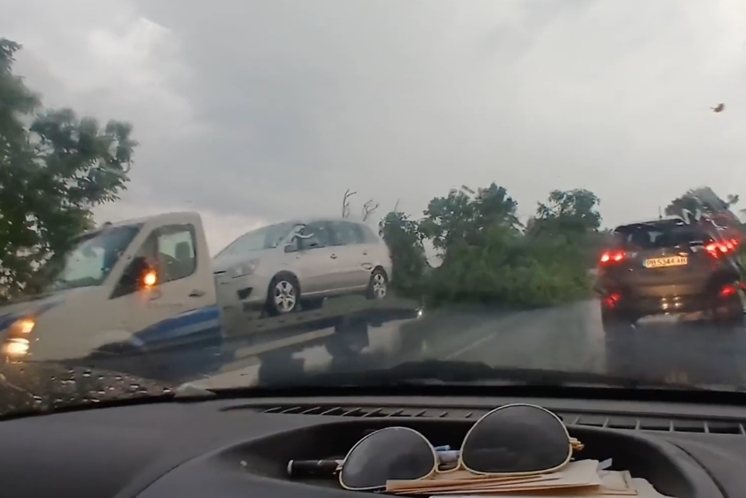 Паднали дървета по пътя между Садово и Поповица, затисната е кола (Видео)