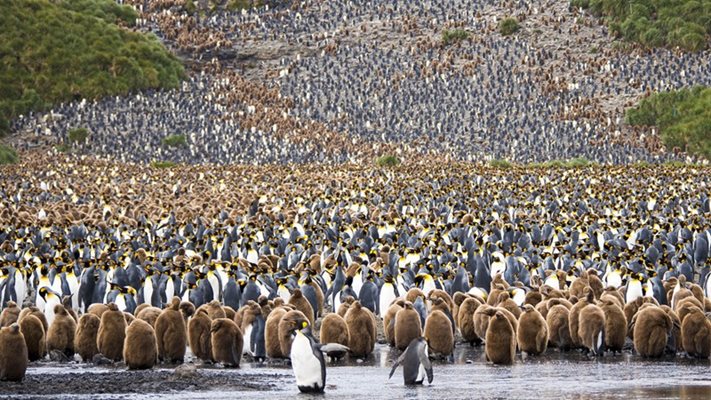 Фотоконкурсът на National Geographic 2015 започна. (Снимки)