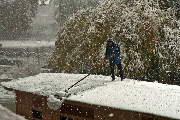 Студ и сняг сковаха югоизточна Франция