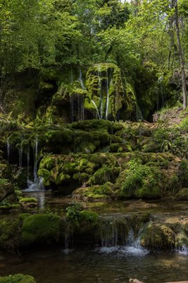 Водопад Бигора
Снимка: Елица Радионова