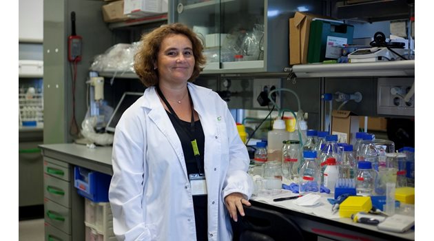 Елизабет Енгелс Лопес е ръководител на екипа за възстановителни терапии чрез биоматериали в Института по биоинженерство в Барселона.