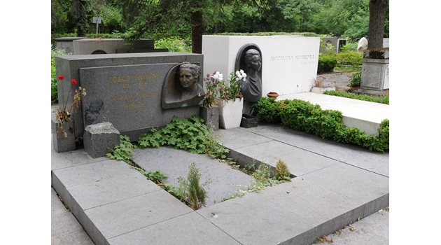 Гробът на Мара Малеева, която почина на 23 октомври 1971 г.