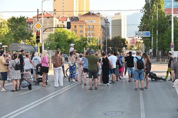 С лозунги „Искаме дървета, не искаме асфалт“ протестиращите затвориха за автомобили ул. "Опълченска" в района на метростанция „Опълченска“