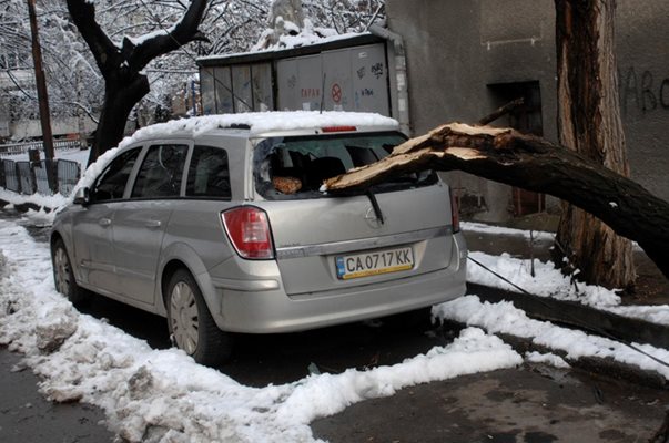 Паднал от мокрия сняг клон потроши задния прозорец на този автомобил в София.