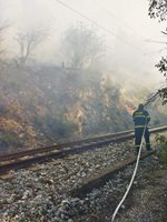 Пожарът в Кресненското дефиле край жп линията. СНИМКА: ЮЗДП