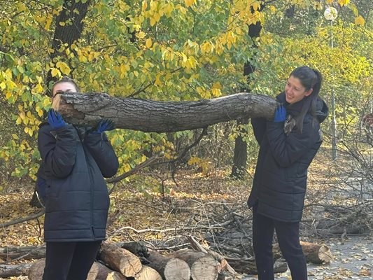 Хората събират паднали и сухи дървета от парка.