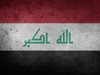 Иракската армия: ИДИЛ е загубила 3/4 от завладените от нея територии