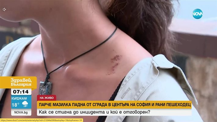Мазилка падна и рани жена в центъра на София
Кадър; Нова