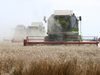 България заема френски пазари за износ на жито