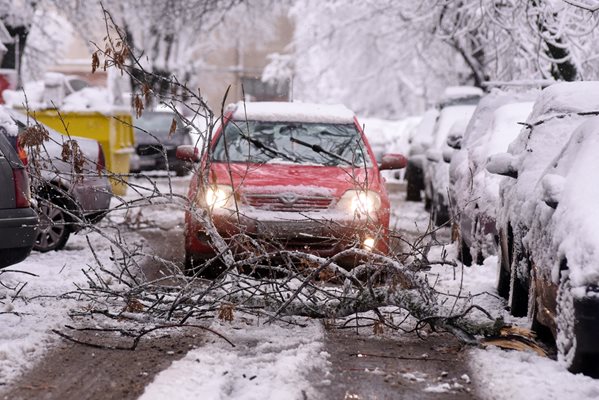 Близо 200 сигнала за паднали клони и цели дървета бяха получени само в сутрешните часове в столицата.

СНИМКА: ВЕЛИСЛАВ НИКОЛОВ