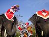 В Тайланд Дядо Коледа пристигна на гърба на слон