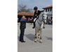 Избраха най-гиздав кон в Арбанаси,
кметът на Търново награди победителя