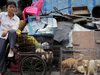 Започна фестивала на кучешкото месо в Китай