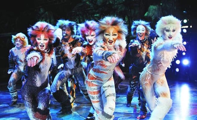 В мюзикъла "Котките" са ангажирани едни от най-добрите певци, актьори и гримьори.