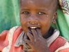 ООН: Сушата на Африканския рог може да умори от глад 20 млн. души