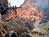 Запалиха слама, разляха мляко и хвърляха ябълки в третия ден от протеста на земеделците край Пловдив (Снимки)