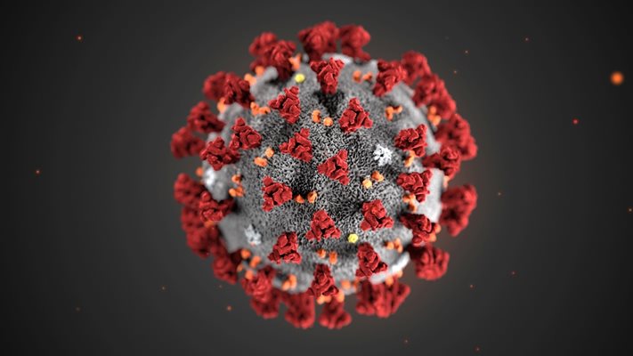 В началото на двудневен глобален форум в Женева СЗО обяви, че новият вирус вече си има име - COVID-19.