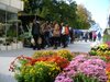 Показват екзотични цветя, елитни кучета и уникални марки на изложения в Пловдив