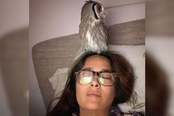 Салма Хайек обича да медитира със совата на главата си.