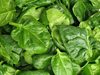 Изследователи от Австралия и Великобритания откриха в зелените листни зеленчуци неизвестен досега фермент - захарен сулфохиновоз. Според тях с този фермент се хранят „полезните