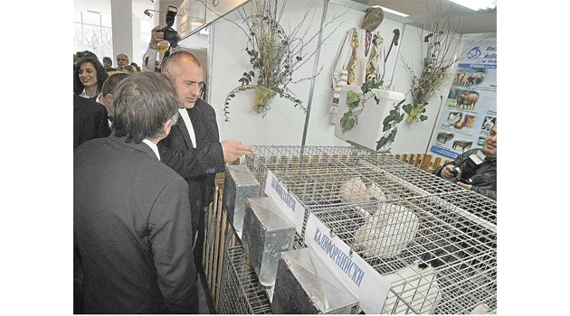 КИТАЙСКА ЗОДИЯ: "Глиганът" Бойко Борисов стряска зайчетата в политическия живот.