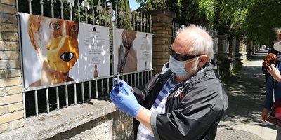 Изложба с маски на оградата на градската галерия (Снимки)