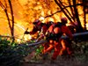 Аварийни eкипи приближават мястото на взрив в гората в Берлин, който предизвика пожар